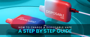 How To Charge Future Bar Disposable Vape?